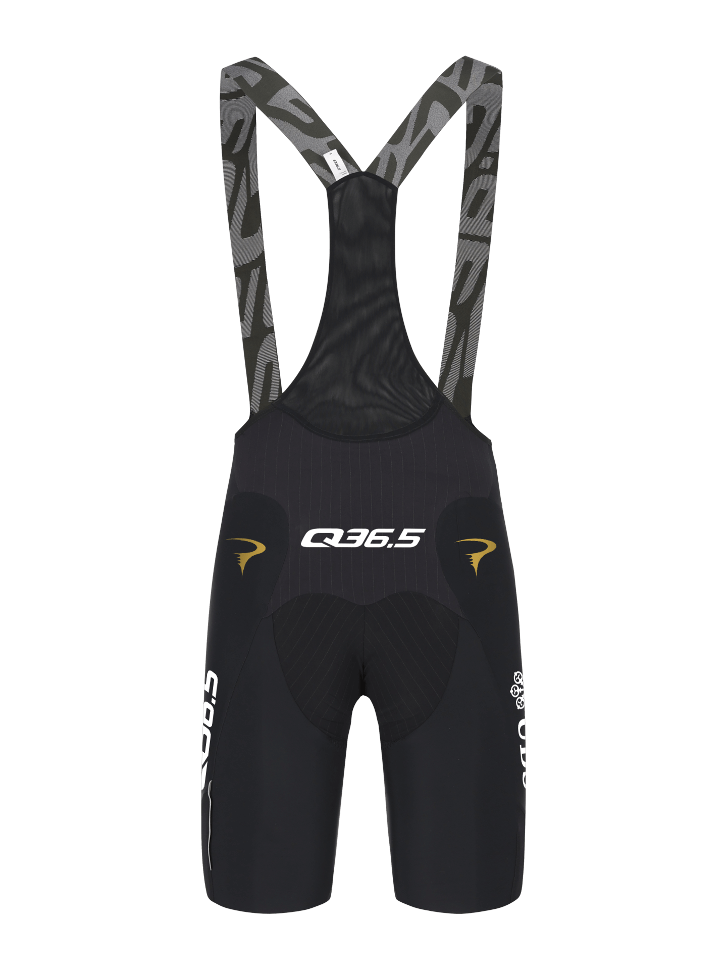 Q36.5 Gregarius Pro Cycling Team Fahrradhose Schwarz