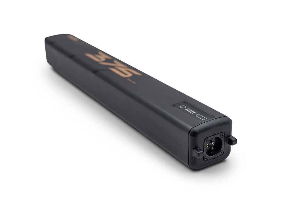 ROTWILD R.375 BATTERY Carbon 10S2PP BMZ21700 50E 37V 375WH - Premium Bikeshop