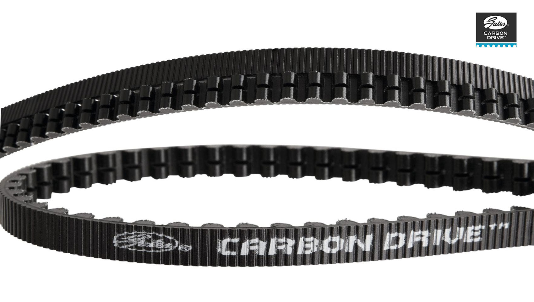 rennrad zahnriemen Gates Carbon Drive CDX Zahnriemen