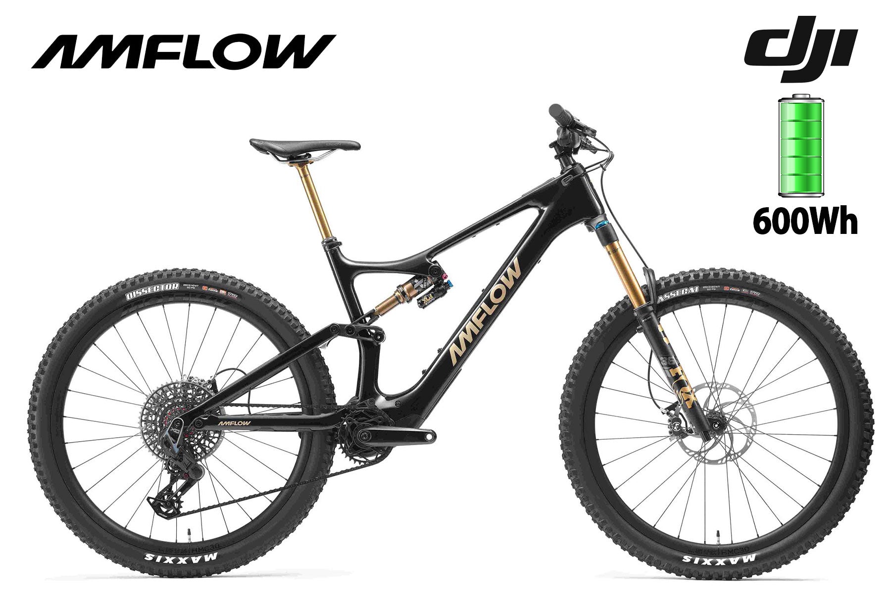 Amflow PL Carbon Pro 600 Wh black - Premium Bikeshop