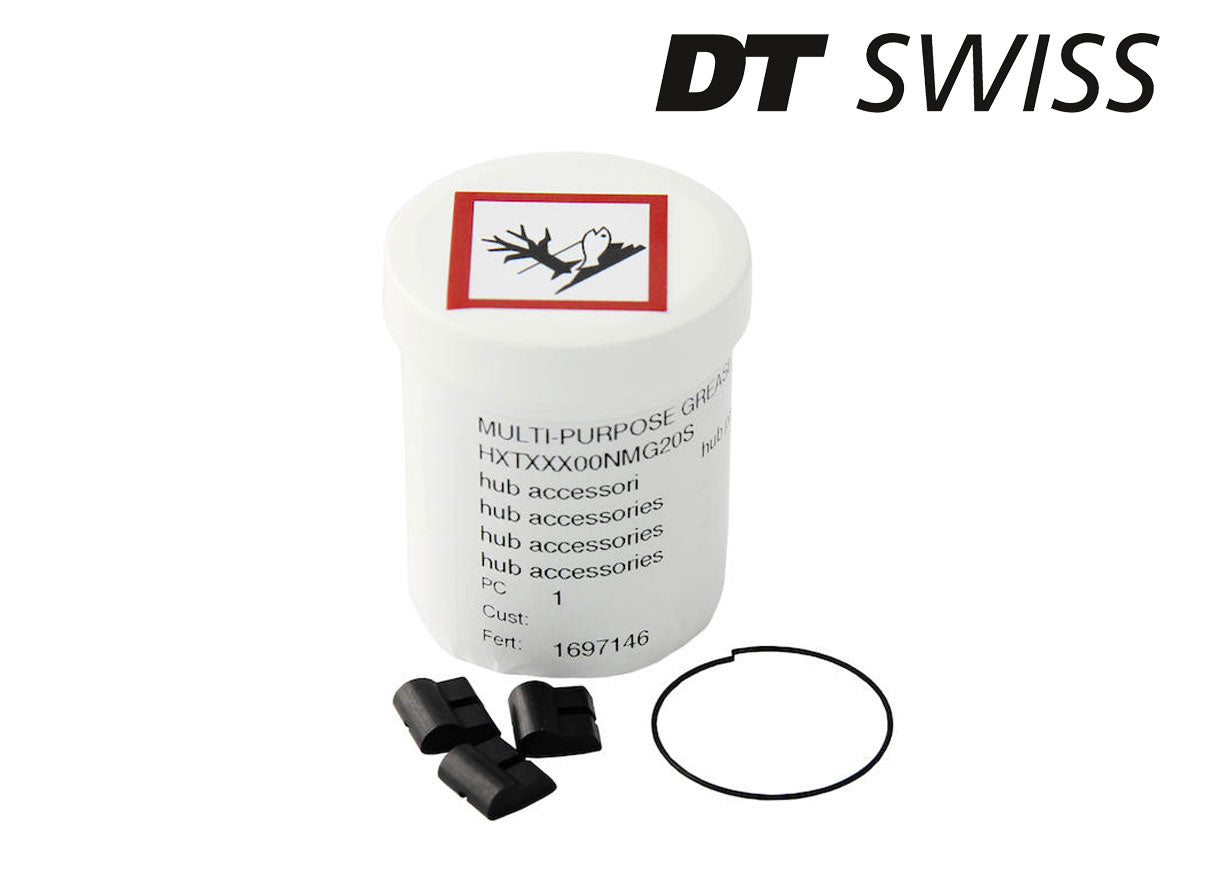 DT Swiss Wartungskit Klinkenfreilauf