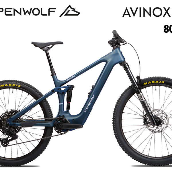 steppenwolf mountainbike Tundra 9.0 FS Atlas Blue Matte PlayStation 2 Color:Cirrus Grey | ChromaPop Sun Platinum Mirror Chia Pudding - gesund