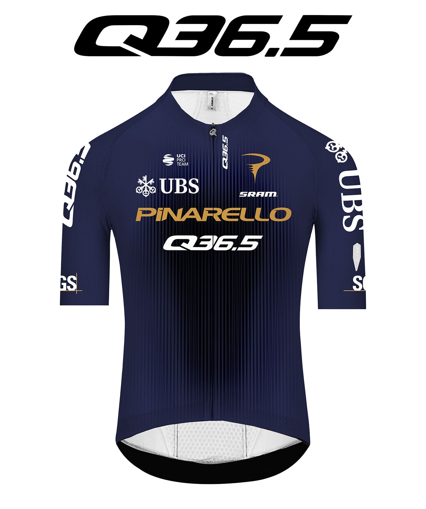 Q36 Team Trikot Gregarius Clima Pro Cycling